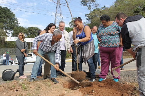 foto mostra grupo de pessoas plantando muda de árvore